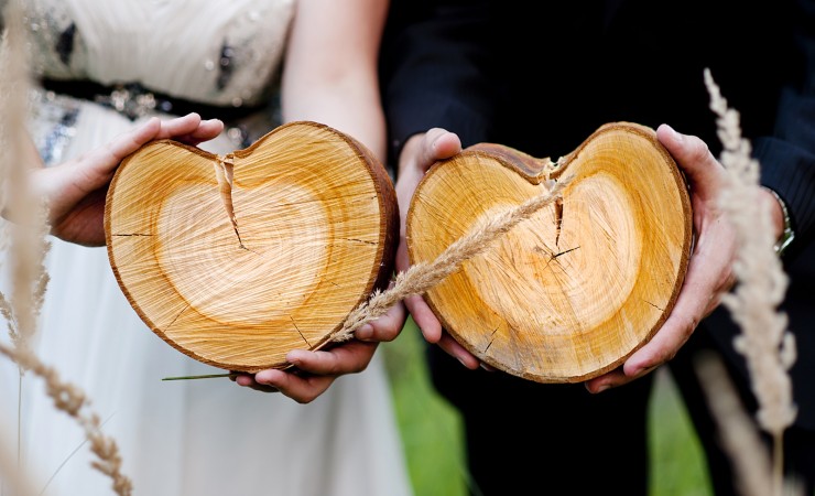 Canva Bride and Groom with Logs