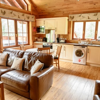 Accommodation - Luxury Lodges with Hot Tubs - 1 bedroom lodges - living area