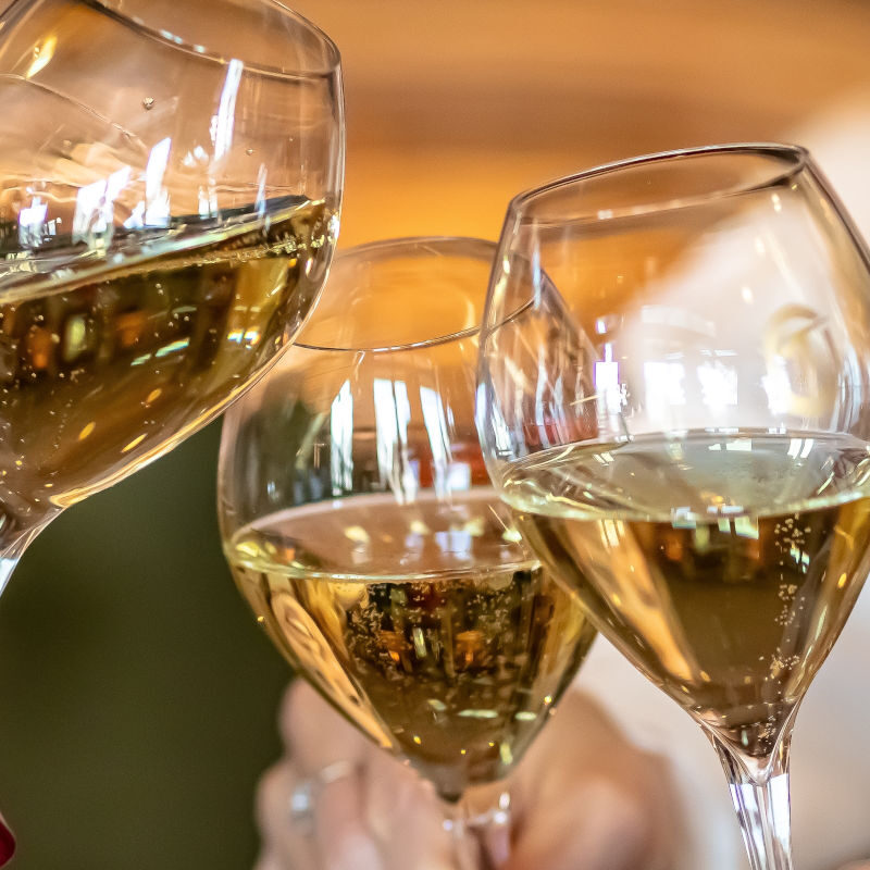 Three women drinking wine in their holiday lodge
